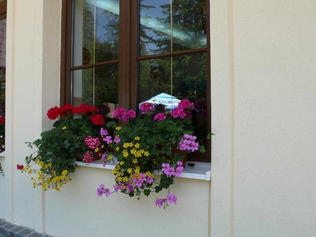 Hotel Ruia Poiana Brasov Exterior foto